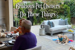 Gracious Pet Owners Do These Things