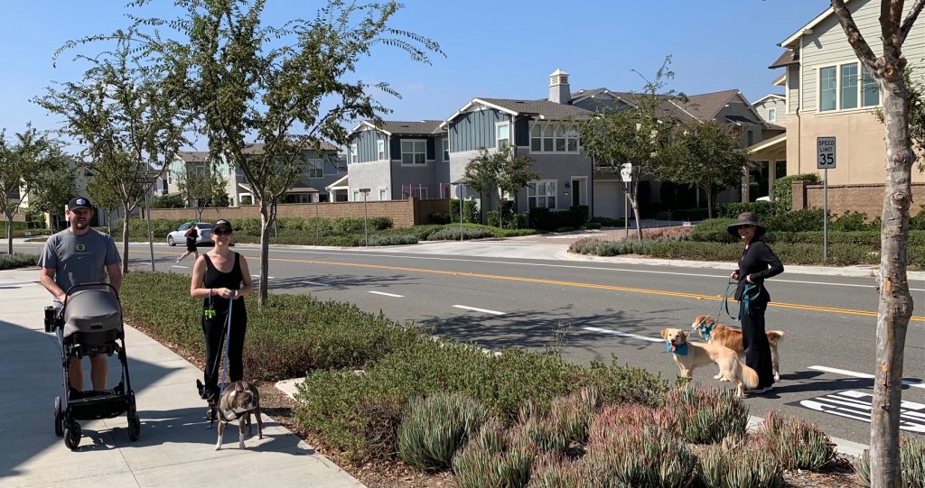 Kay Hunter demonstrating dog etiquette during walk